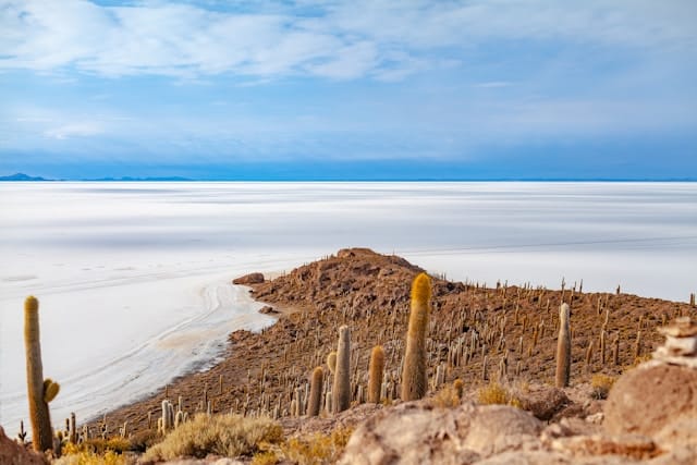 diego aguilar aeIttItNspo unsplash diego aguilar aeIttItNspo unsplash