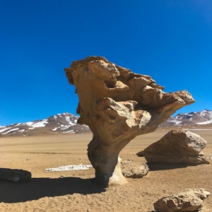 jeremie aouate 8W afKWOApA unsplash 1