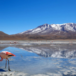 shutterstock 1192769770 1885x1024 1