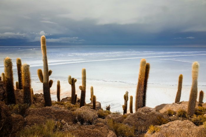 3-Day Uyuni Adventure: SHARED SERVICE & COMFORT