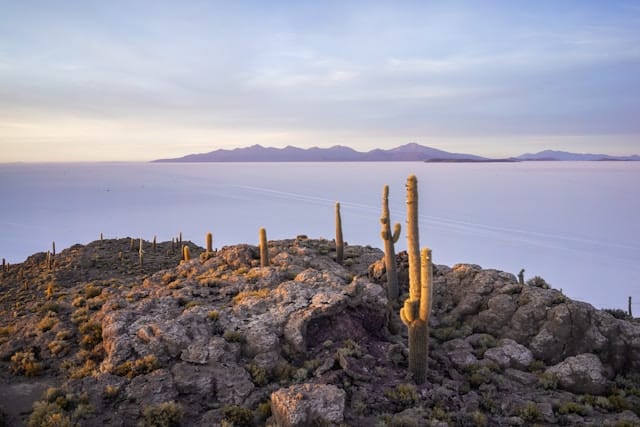 Uyuni Salt Flats: Your Essential Guide