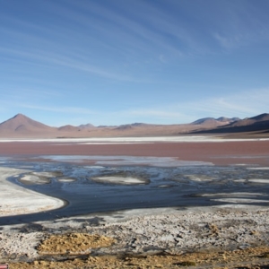 danielle barnes M3izPNrye1I unsplash