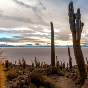 Fotografia JuanMaureia 6 2