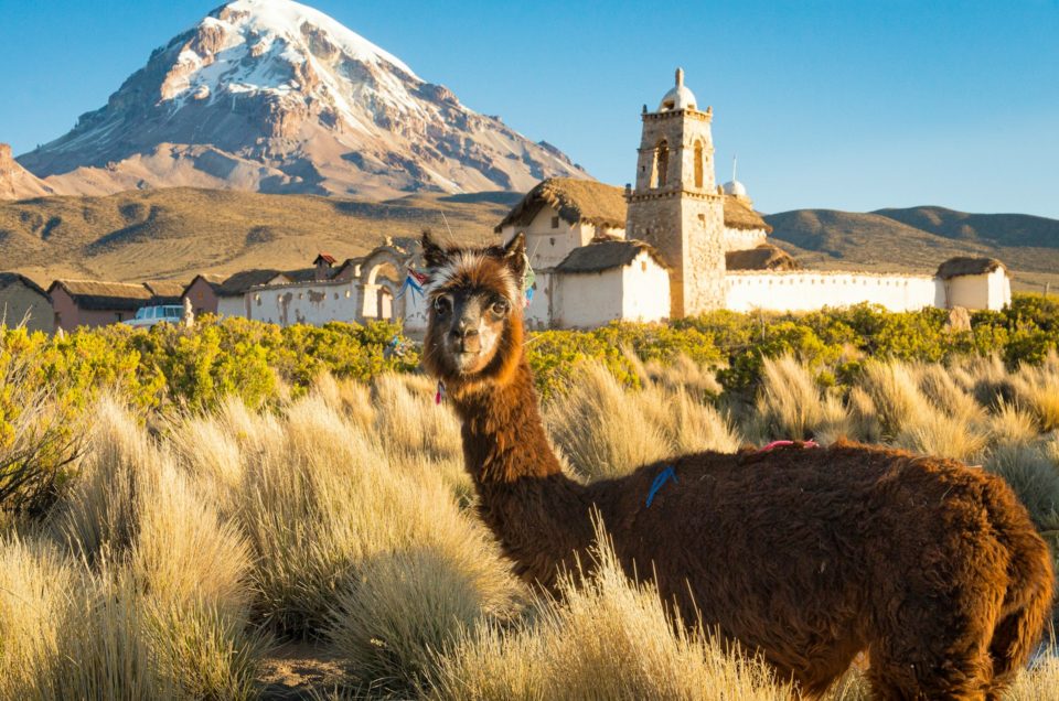 Bolivia Travel Guide – 10 Reasons To Visit