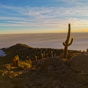 florian delee avgsyG1zWg0 unsplash