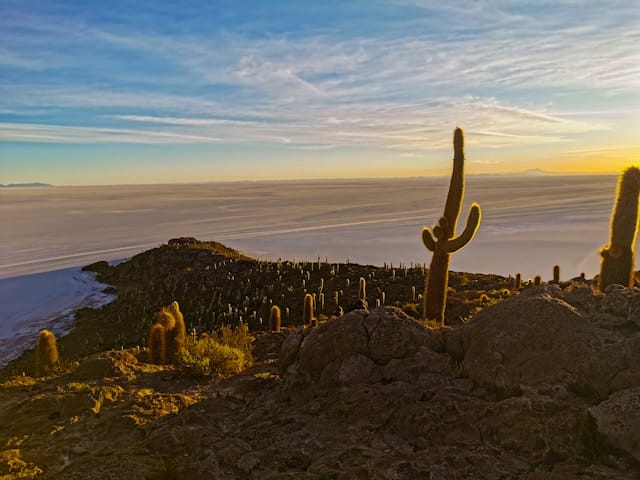 florian delee avgsyG1zWg0 unsplash