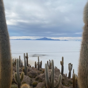 julius zetzsche vEHWKtIbiY0 unsplash