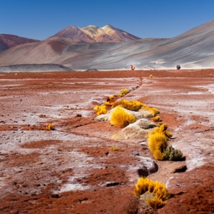 mirko rebolledo up6DWXNnRho unsplash