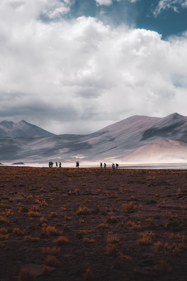 willian justen de vasconcellos BWpiltUMis8 unsplash willian justen de vasconcellos BWpiltUMis8 unsplash