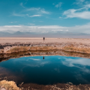 willian justen de vasconcellos uDAeu5lHMFE unsplash