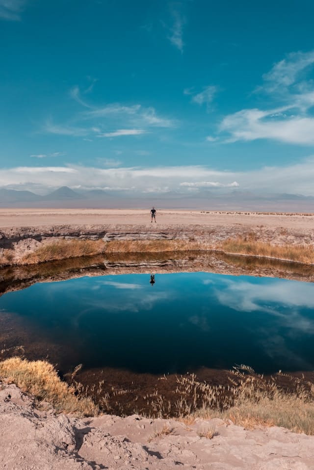 willian justen de vasconcellos uDAeu5lHMFE unsplash willian justen de vasconcellos uDAeu5lHMFE unsplash