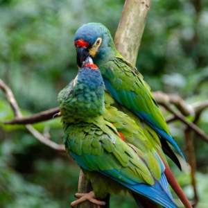 nadine marfurt nnHANgsaCTk unsplash