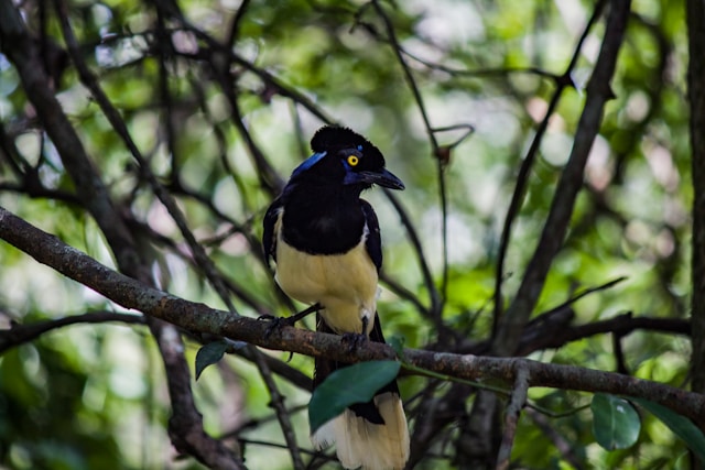 valentina fischer t3keRbD9n3Q unsplash